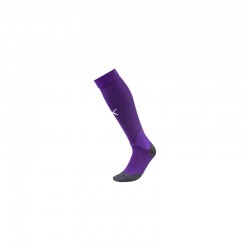 Team LIGA Socks Prism...