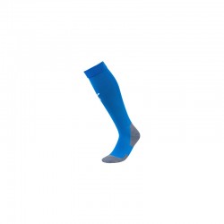 Team LIGA Socks CORE...