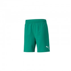 teamFINAL Shorts Pepper Green