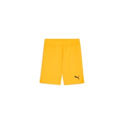 teamGOAL Shorts Sun...