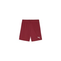 teamGOAL Shorts Team Regal...
