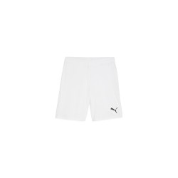 teamGOAL Shorts PUMA...